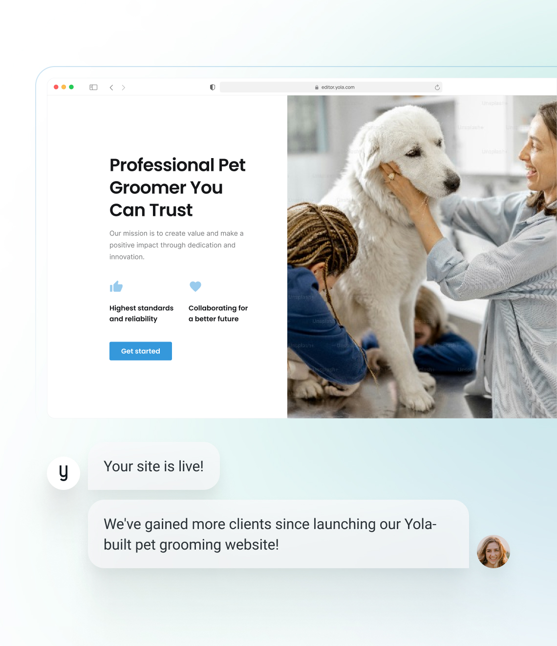 How to make a pet grooming website