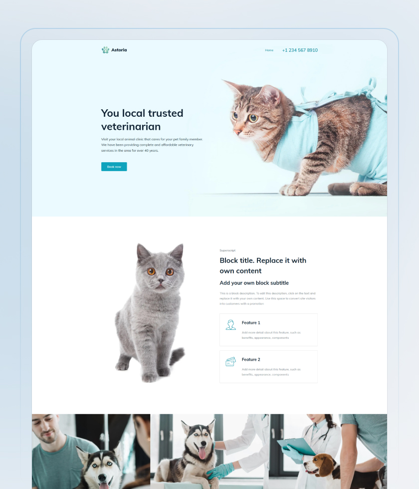 Medical Website Template 1