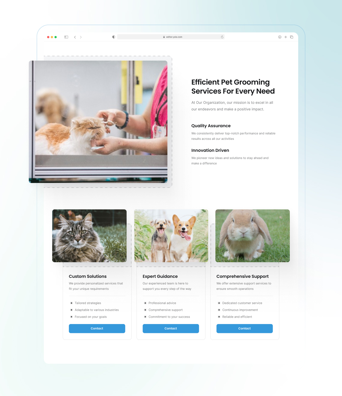 How to create a pet grooming website